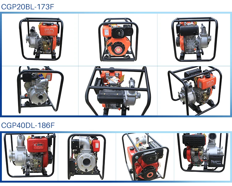 Cgp20bl173f High Suction Lift Water Pumps Buy Cgp20bl173f High