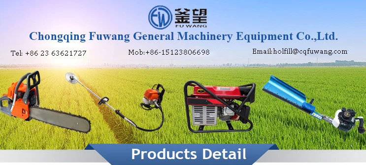 Fuwang-01 