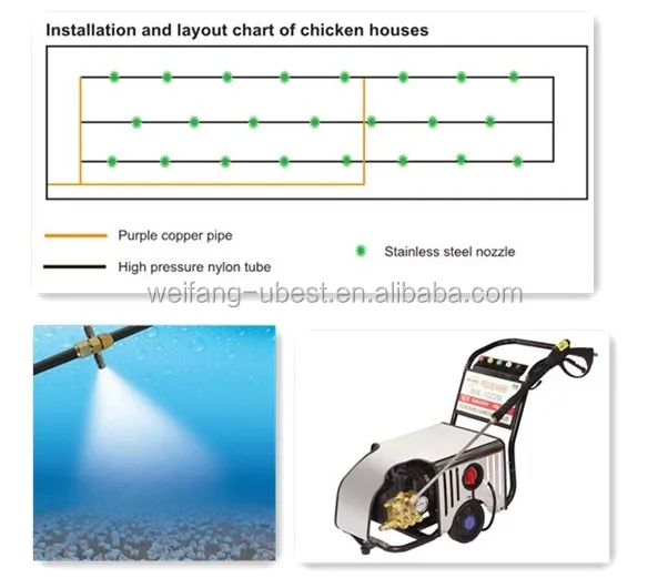 Aliabab china U-BEST chicken farm in Namibia and poultry broiler farm design construction for chicken