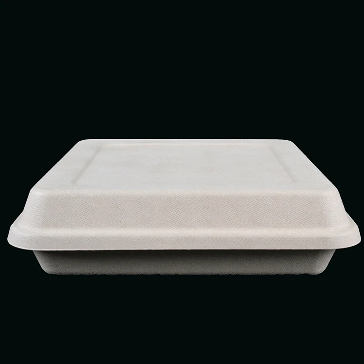 

9 inch square biodegradable bamboo fiber food container with lids, Natural