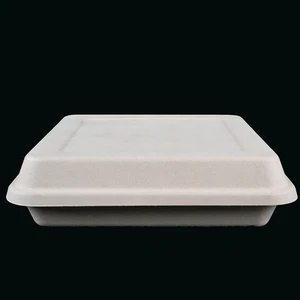 Image of 9 inch square biodegradable bamboo fiber food container with lids