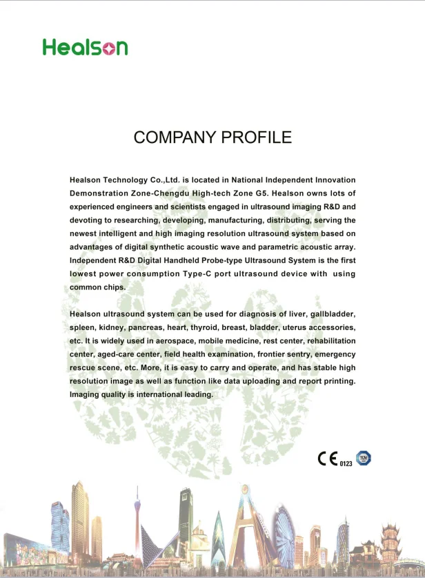 company profile.png