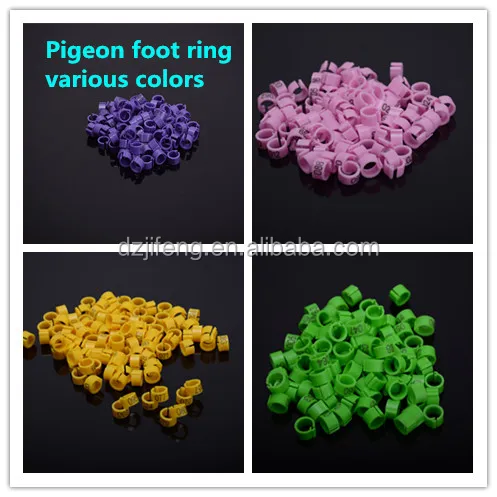 Pigeon foot ring.jpg