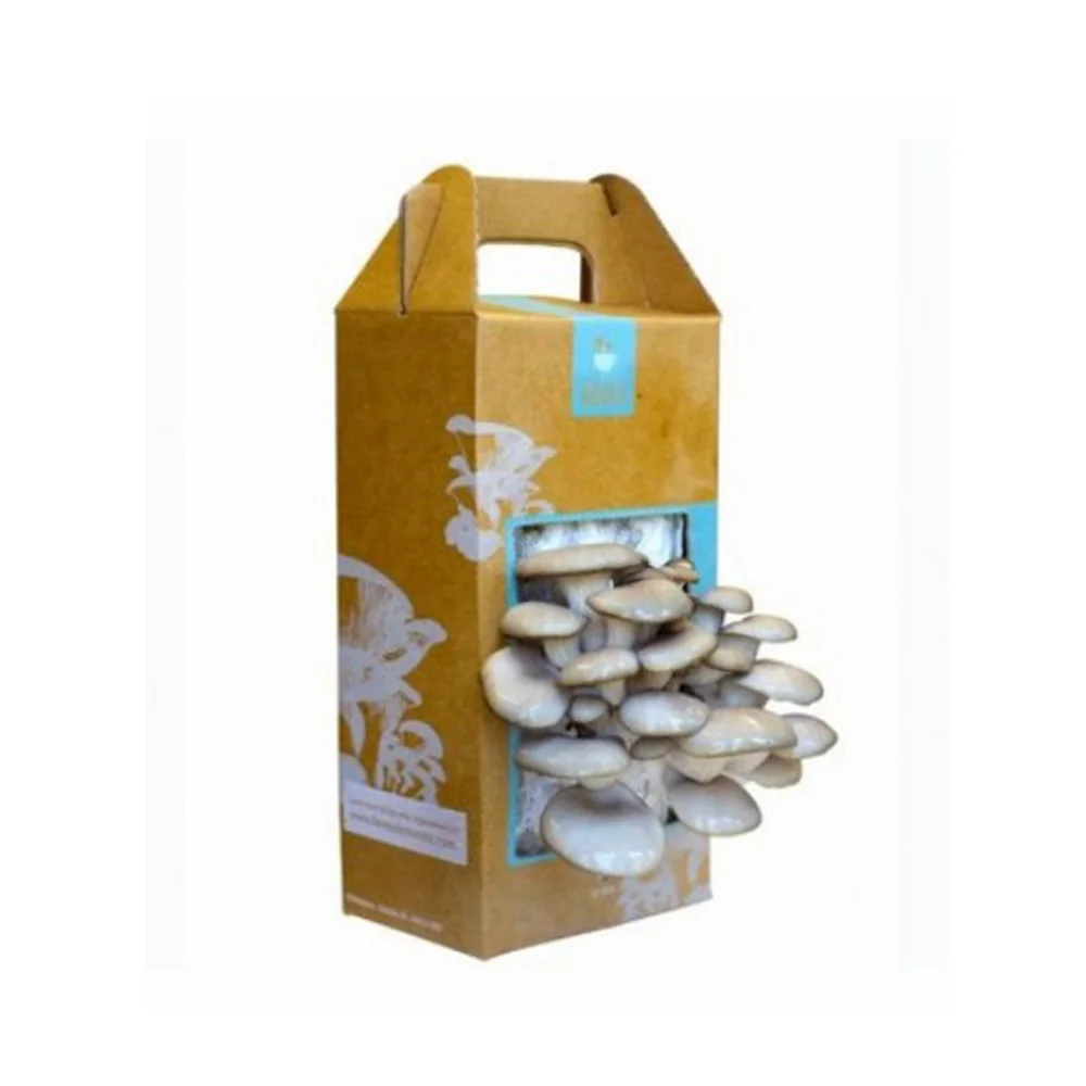 Custom Cardboard Fresh Mushroom Packaging Packing Boxes Paper Recyclable Environmental Jielong