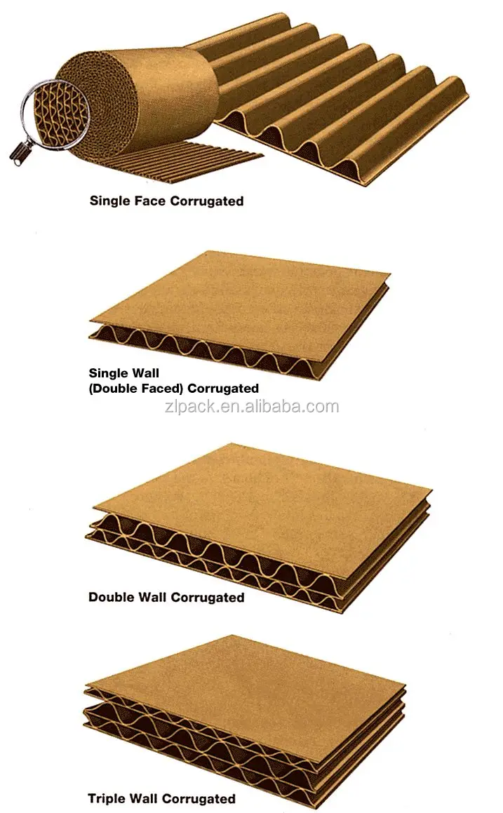 Corrugated board styles.jpg
