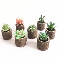 

Mini Artificial plants live succulent plants with pot tropical plants artificial flowers