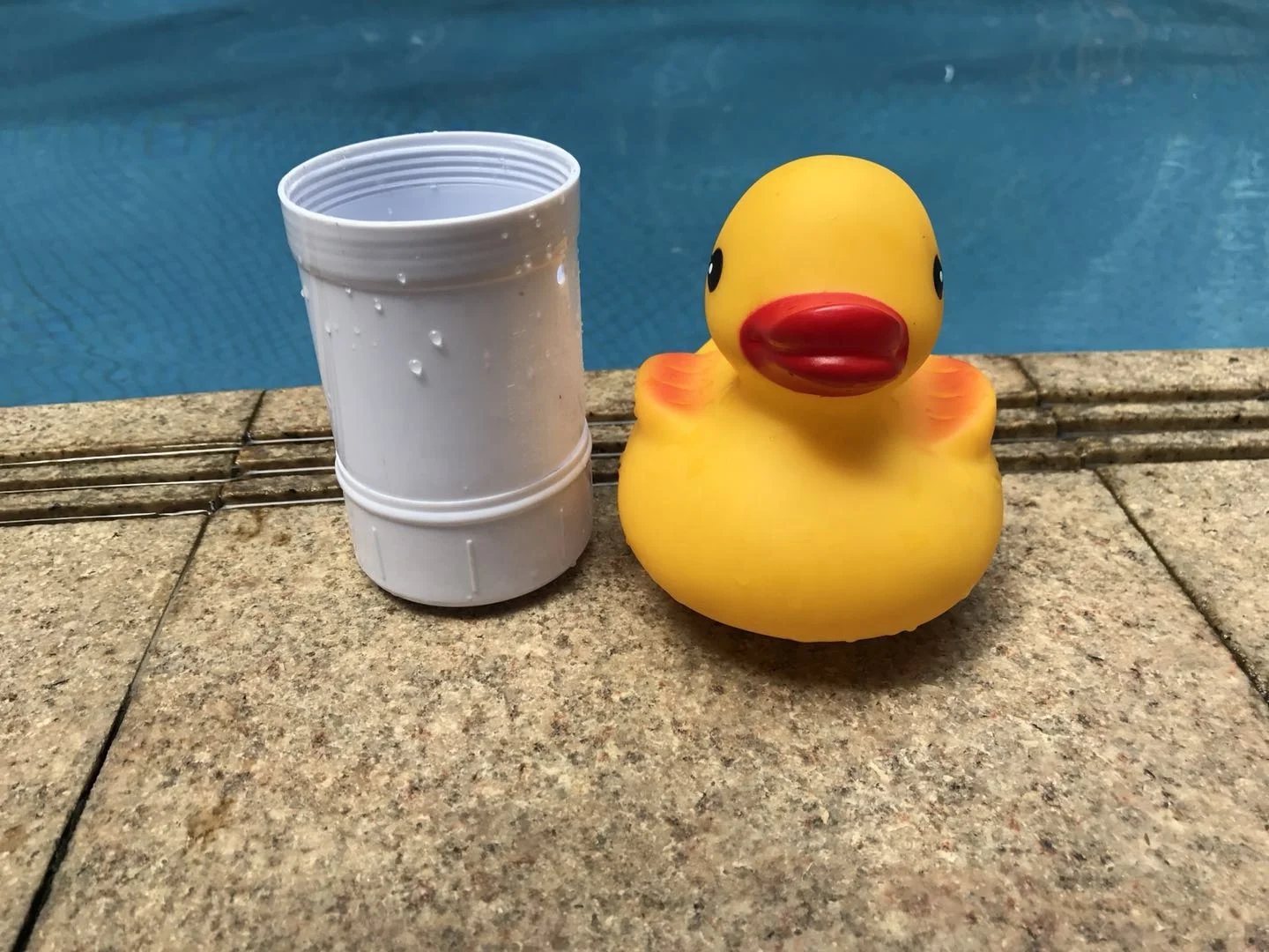 chlorine duck