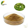 Raw material bacopa monnieri Bacoside powder Bacopaside Monniera brahmi extract