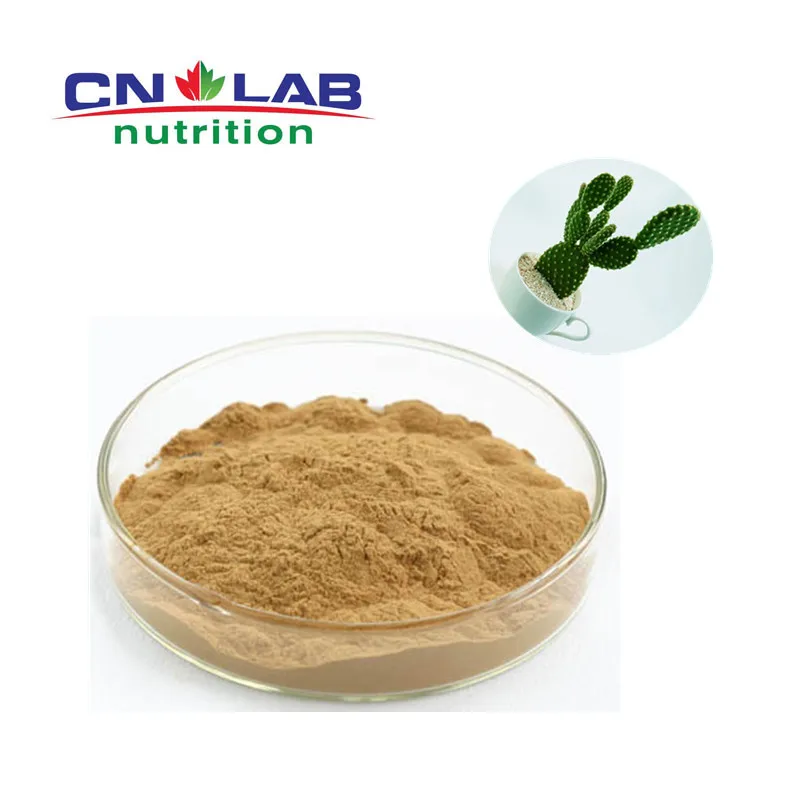 Organic Cactus Powder Extract / Nopal Cactus Powder Buy Cactus Powder