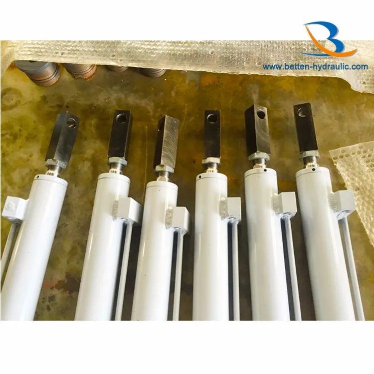 Piston Single Acting Hydraulic Cylinder For Door Buy Hydraulic