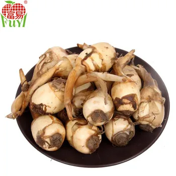 fresh arrowhead vegetable on sale for market buy arrowhead vegetable arrowhead arrowheads product on alibaba com fresh arrowhead vegetable on sale for