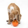 Pets IQ TREAT BALL Interactive Smarter Problem Solving Dog Toy