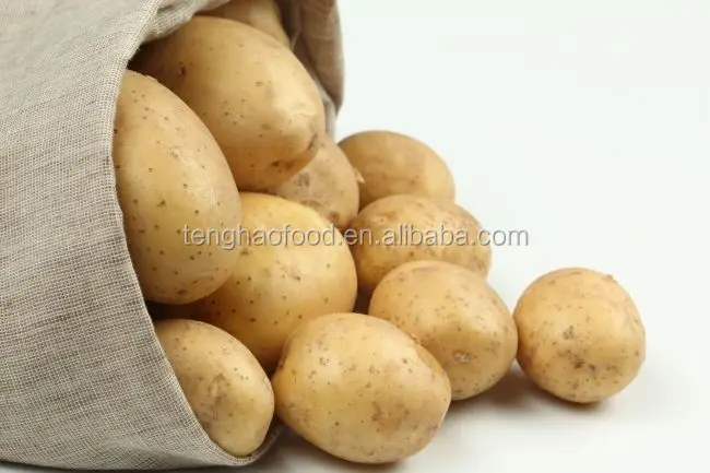 
Good quality with best price potato from China 