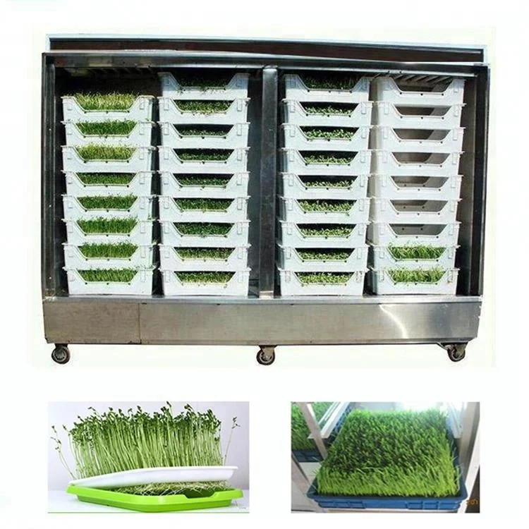 Sprout seedling machine3.jpg