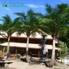 Glass fiber steel tube palm trees canada is Popular around the world artificial plastic coconut palm tree