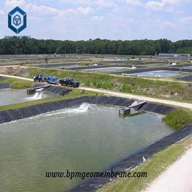 Geomembrane HDPE