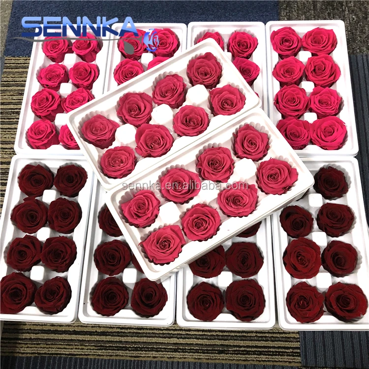 preserved rose 0730 (27)