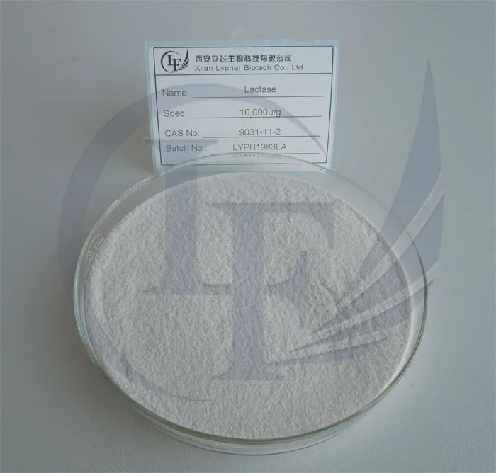 High Quality and Competitive Price of Lactase Enzyme Powder