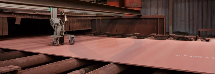 Steel preservation line18.jpg