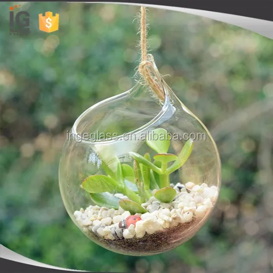 

Hanging glass terrarium for home decor, Clear