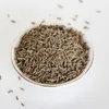 Hot Sale Good Quality Chinese Cumin Seed Cuminum