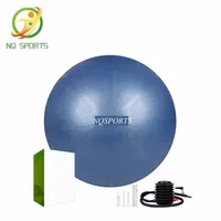 

top selling amazon custom portable gym yoga ball exercise pilates set elastic fitness home equipment kit balance ball