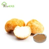 Health supplement material lion's mane mushroom lion's mane extract