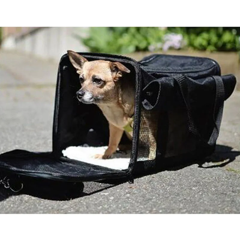 dogs accessories online shopping