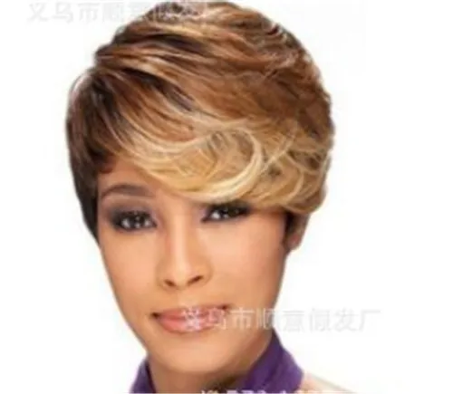 Fashion Sexy Women Lady Girls Short Curly Mixed Color Highlights Party Natural Hair Wigs Po416