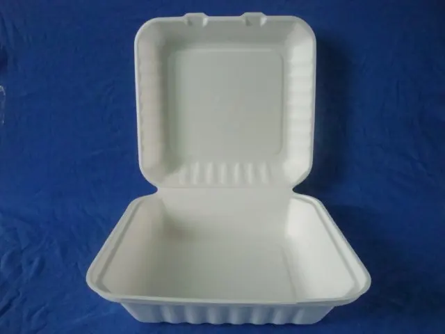 
takeaway food boxes 