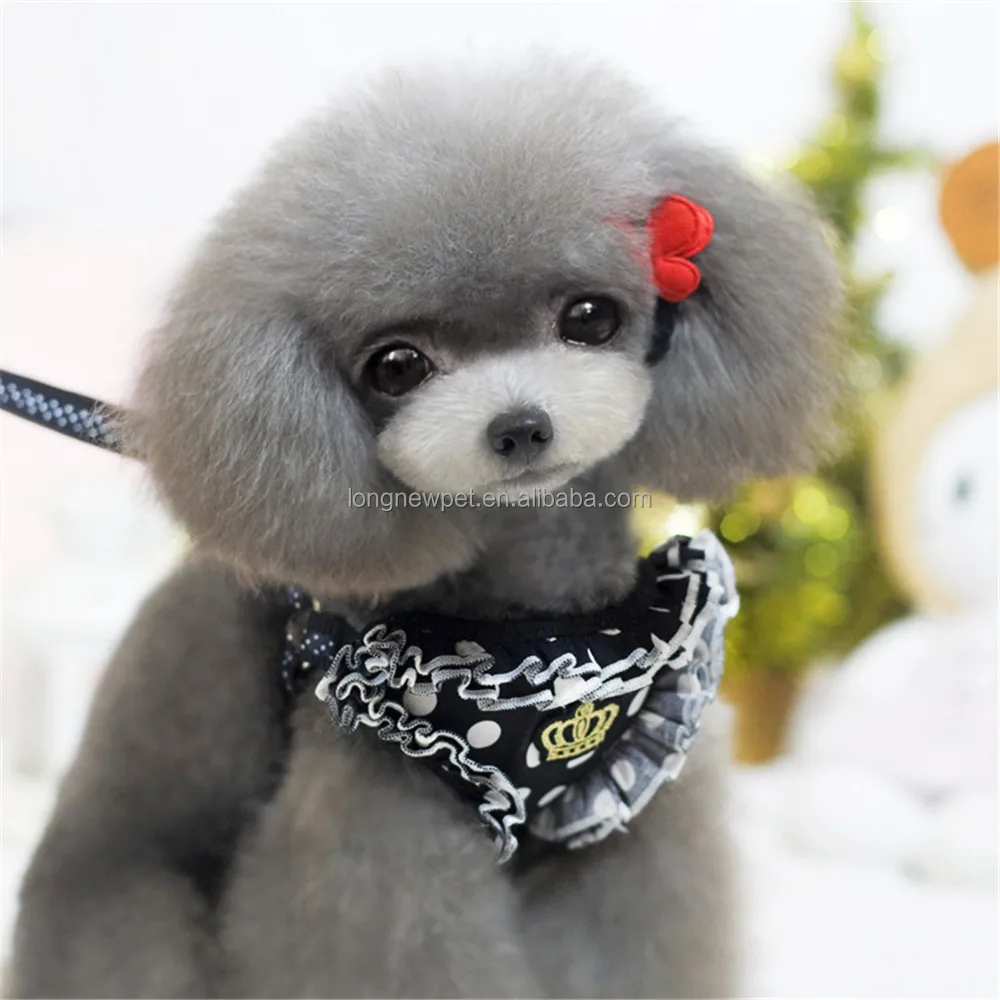 Longnew Pet Pet Supplier Polka Dot Floral Adjustable Mesh Dog Harness With Leash Buy Mesh Dog