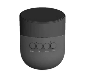 Sucker cup Mini portable QI Wireless Charger Speaker