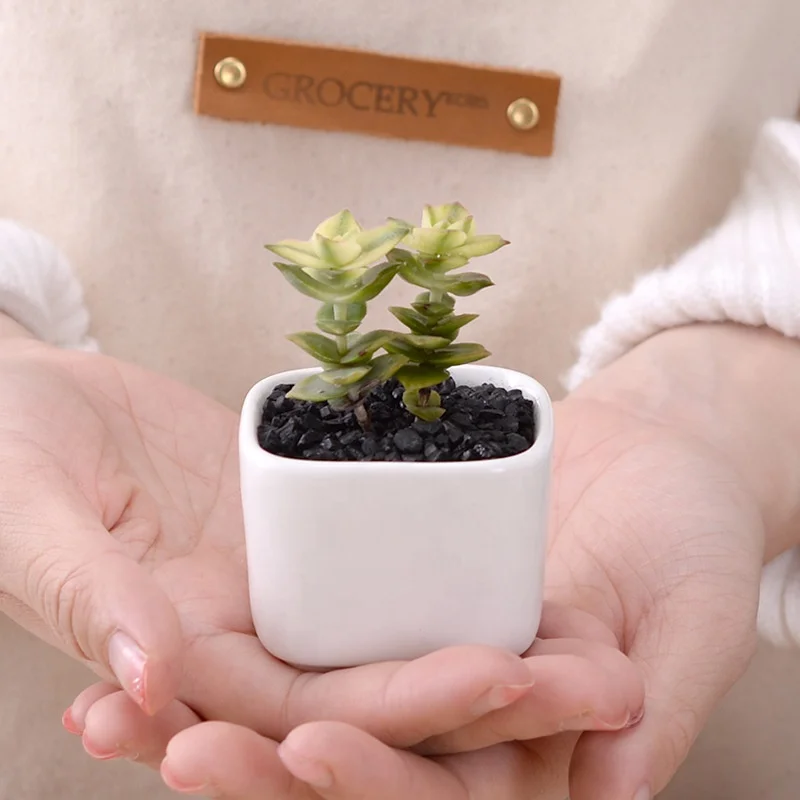 
Simple rounded square mini fleshy plant ceramic flower pot 