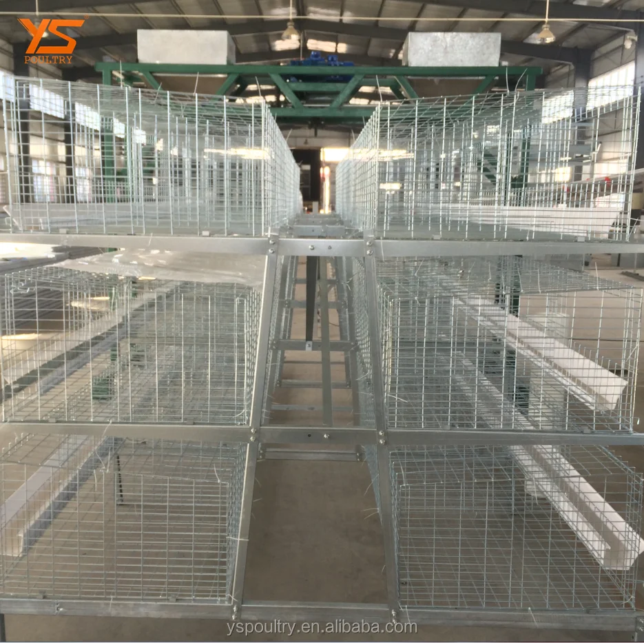 
Top Sale A Type Battery Broiler Cage for Chicken 