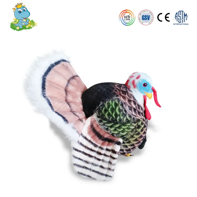 turkey (1)