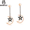 BNWIGE earrings stainless steel earring for women drop dangle rose gold wedding fashion minimalist custom statement jewelry