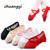 Ballet Dance Shoes Pointe Dancing Shoes For Children Kids Girls Women Soft Flats Dance Shoes