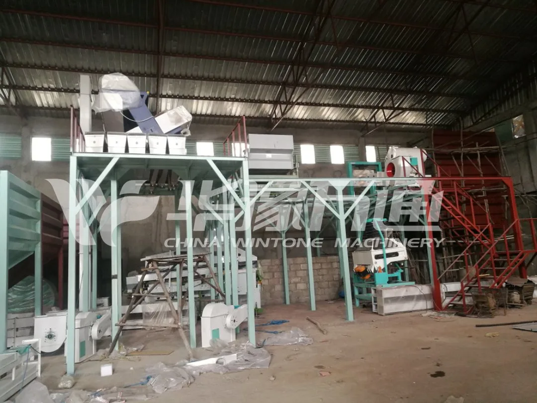 Coffee Beans Cleaning  .jpg