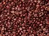 romano coffee beans