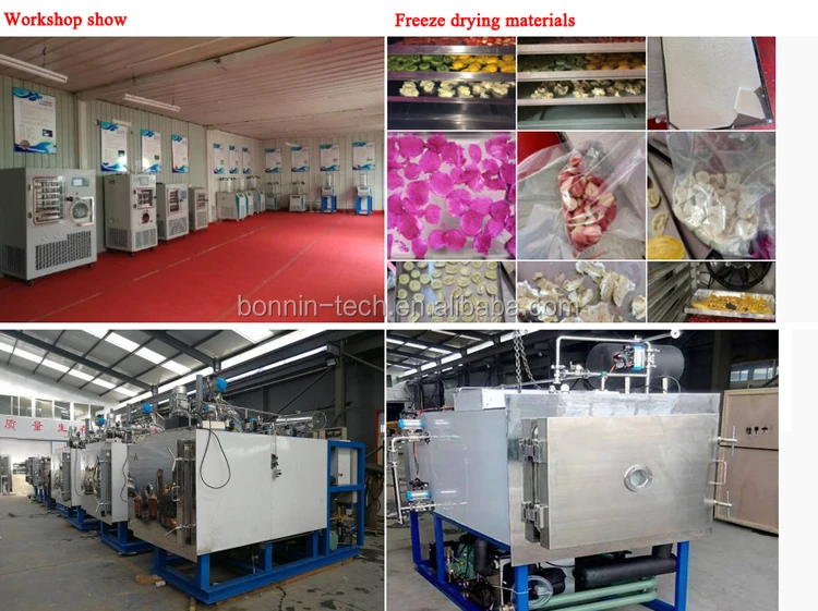 lgj freeze drying.jpg