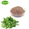 100% pure natural Kalmegh Extract andrographis paniculata p.e price