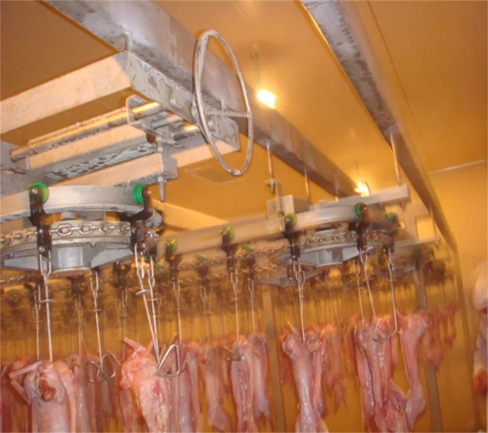Rabbit Slaughter Plant For Rabbit Meat Buy Rabbit Slaughter Plant For