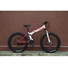 hot sale Fashion Design Snow Bicycle Mountain Bike Fat Bike with Loading For Cycling made in china