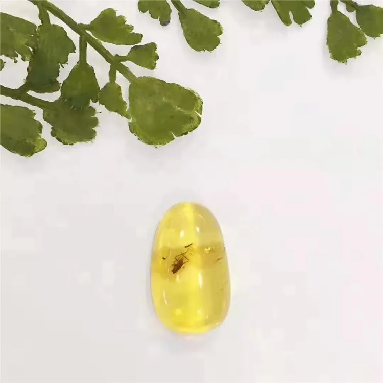 

Mexico natural entire blattodea oval yellow amber loose stone ring necklace pendant dual use