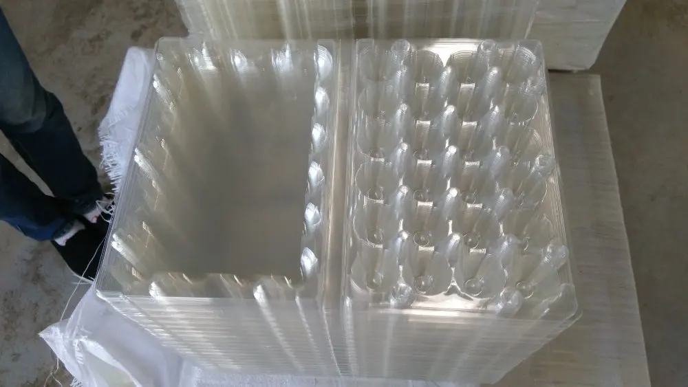 
PVC plastic quail egg packing tray /plastic box packaging for 12/24/30 quail eggs 