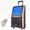 2018 Hot sale!! 12 inch LED screen & MP5/ CD/DVD player speaker 12" Portable trolley speaker with Karaoke Function