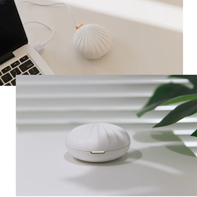 Support Various Devices Daily essential oil Moisturizing Portable Aromatherapy Diffuser