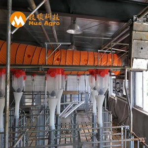 Pig 1 Pig 1 Suppliers And Manufacturers At Alibaba Com