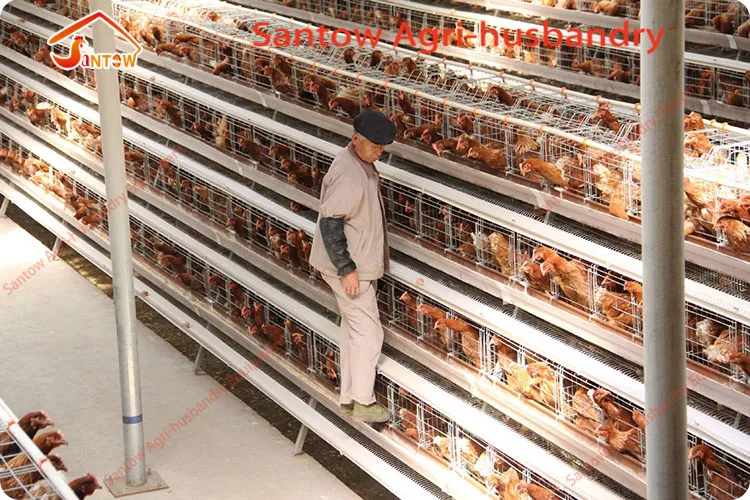 4 tier chicken layer cages automatic poultry cages galvanized wire mesh battery broiler cage price for Uganda Philippine sale