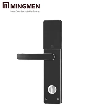 automatic main door lock